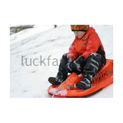 Санки Hamax Sno Tiger