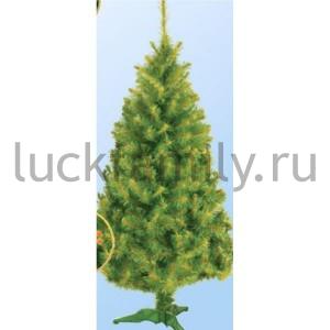 ЕЛКА ТАЕЖНАЯ (РОССИЯ) 180СМ, ХВОЯ ЕЛОВАЯ в кор.1шт ― Luckfamily.ru