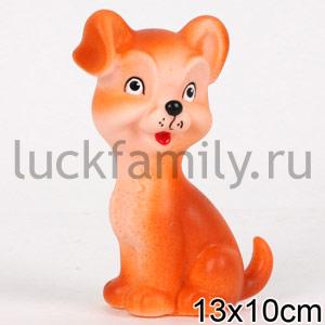 СОБАЧКА ― Luckfamily.ru