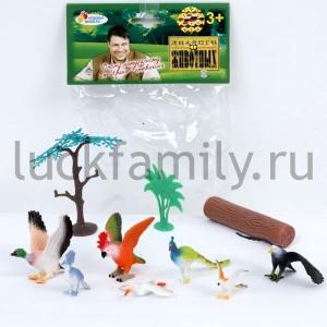 НАБОР ИЗ 8-И ПТИЦ "ИГРАЕМ ВМЕСТЕ" С АКСЕСС. В АССОРТ. В ПАК. в кор.6*36наб ― Luckfamily.ru