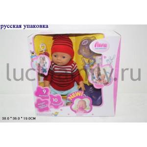 ПУПС ФУНКЦ. С АКСЕСС. 8001-GR В РУСС. КОР. 38*36*19СМ в кор.4шт ― Luckfamily.ru