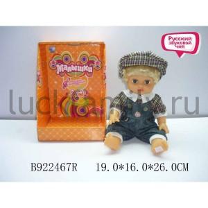 КУКЛА ОЗВУЧ. РУСС. ЧИП AV0213-64 В РУСС. ДИСПЛЕЕ 19*16*26СМ в кор.3*8шт ― Luckfamily.ru