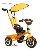 Lexus Trike original MONTANA gold (0014)