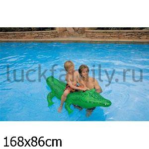 КРОКОДИЛ НАДУВ. 168*81СМ С РУЧКОЙ В КОР. (БОИТСЯ ХОЛОДА) в кор.12шт ― Luckfamily.ru