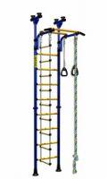 Детский спортивный комплекс ДСК Kampfer Strong kid ceiling New